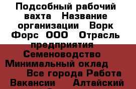 Подсобный рабочий вахта › Название организации ­ Ворк Форс, ООО › Отрасль предприятия ­ Семеноводство › Минимальный оклад ­ 30 000 - Все города Работа » Вакансии   . Алтайский край,Славгород г.